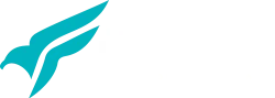 flez-international-logo-footer